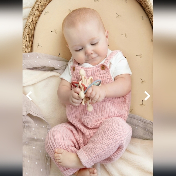 Rabbit + Bear Sweater Knit Overalls (#20) - Picture 1 of 6